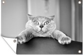 Posters de jardin extérieur Chat anxieux - noir et blanc - 90x60 cm - Toile de jardin