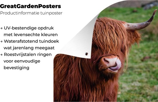 Accrocheur dé porté vache highland svg fichiers découpés au - Canada