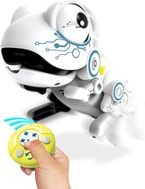 Robo Frog - Robot Kikker met uitrekbare tong 5+