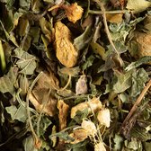 Dammann - Tisane Magic Ginger - 60 gram kruidenthee met gember - Volstaat voor 30 koppen thee