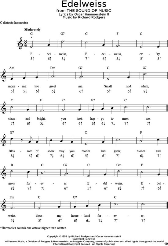 taart zondaar Dierbare First 50 Songs You Should Play on Harmonica, Hal Leonard Corp. |  9781495050220 | Boeken | bol.com
