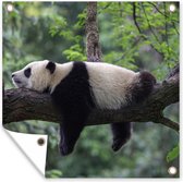 Tuinposters Panda - Boom - Dieren - Natuur - 50x50 cm - Tuindoek - Buitenposter