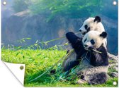 Muurdecoratie buiten Panda - Bamboe - Gras - Dieren - 160x120 cm - Tuindoek - Buitenposter