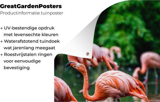 Décoration de jardin Flamingo - Tropical - Vogel - Water - Rose - 40x60 cm - Affiche de jardin - Toile de jardin - Affiche d'extérieur