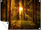 Décoration de Jardin Forêt - Soleil - Arbres - Nature - Coucher de soleil - 40x30 cm - Toile de jardin - Poster extérieur