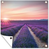 Tuin poster Lavendel - Paars - Bloemen - 200x200 cm - Tuindoek - Buitenposter