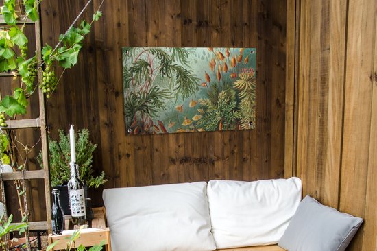 Posters de jardin extérieur Maîtres anciens - Art - Muscinae - Haeckel - 90x60 cm - Toile de jardin - Affiche extérieure
