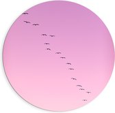 WallClassics - Dibond Muurcirkel - Grote Groep Vogels door roze Lucht - 90x90 cm Foto op Aluminium Muurcirkel (met ophangsysteem)