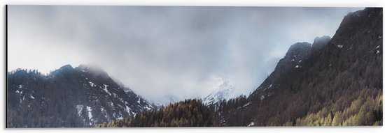 WallClassics - Dibond - Wolken bij Bergen en Bos - 60x20 cm Foto op Aluminium (Wanddecoratie van metaal)