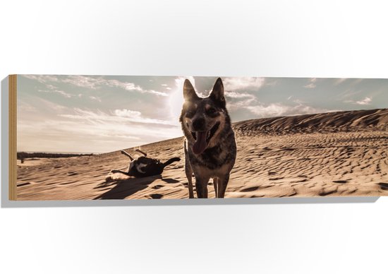 WallClassics - Hout - Austrailian Cattle Dog - 90x30 cm - 9 mm dik - Foto op Hout (Met Ophangsysteem)