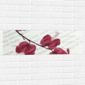 WallClassics - Muursticker - Bloementakje door Boekpagina - 90x30 cm Foto op Muursticker