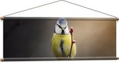 WallClassics - Affiche Textile - Mésange Bleue - 120x40 cm Photo sur Textile