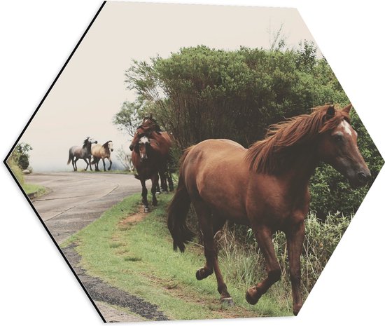 WallClassics - Dibond Hexagon - Rennende Paarden langs de Weg - 50x43.5 cm Foto op Hexagon (Met Ophangsysteem)