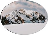 WallClassics - Dibond Ovaal - Grote Sneeuwberg - 40x30 cm Foto op Ovaal (Met Ophangsysteem)