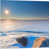 WallClassics - Acrylglas - Lichte Zon in Sneeuwgebied - 80x80 cm Foto op Acrylglas (Wanddecoratie op Acrylaat)