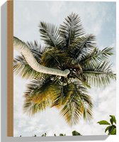 Hout - Palmboom vanaf onder - 30x40 cm - 9 mm dik - Foto op Hout (Met Ophangsysteem)