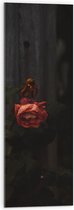 Acrylglas - Oude Rode Roos voor Houten Paal - 30x90 cm Foto op Acrylglas (Met Ophangsysteem)