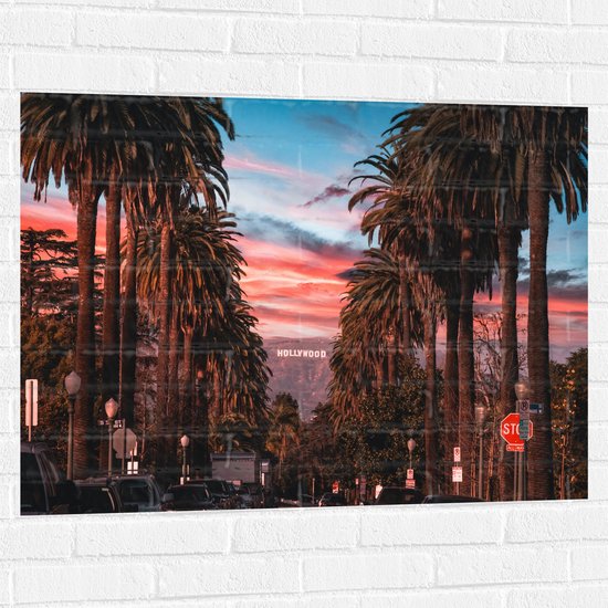 Muursticker - Los Angeles Hollywood met Palmbomen - 100x75 cm Foto op Muursticker