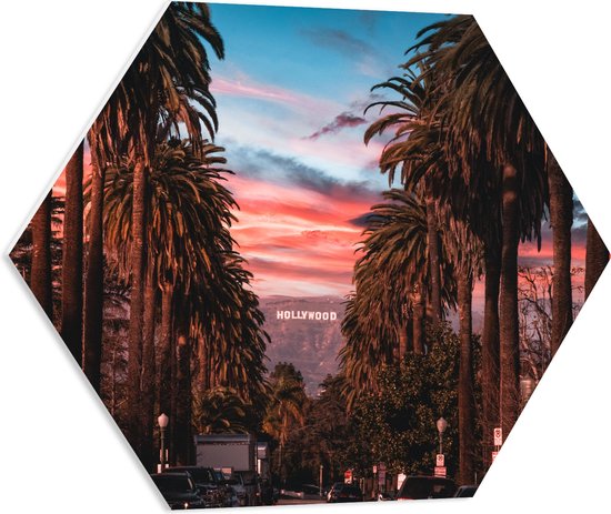 PVC Schuimplaat Hexagon - Los Angeles Hollywood met Palmbomen - 60x52.2 cm Foto op Hexagon (Met Ophangsysteem)
