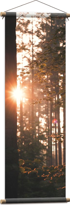 Textielposter - Schijnende Zon tussen de Bomen - 40x120 cm Foto op Textiel