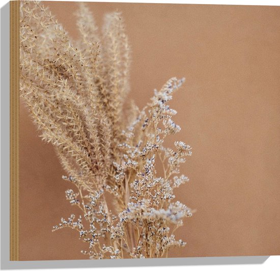 WallClassics - Hout - Tak van Gypsophila Plant tegen Bruine Muur - 50x50 cm - 9 mm dik - Foto op Hout (Met Ophangsysteem)
