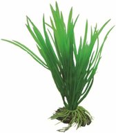 Aquarium kunstplant - 16 cm - Hobby plant Cyperus