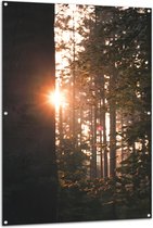 Tuinposter – Schijnende Zon tussen de Bomen - 100x150 cm Foto op Tuinposter (wanddecoratie voor buiten en binnen)