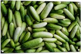 Tuinposter – Hoopje Groene Komkommers - 90x60 cm Foto op Tuinposter (wanddecoratie voor buiten en binnen)