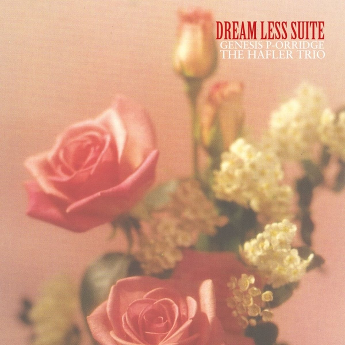Genesis P-Orridge & The Hafler Trio - Dream Less Suite (2 LP)