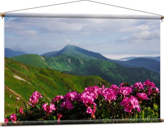 Textielposter - Groepje Roze Bloemen op Top van Berg in Berglandschap - 120x80 cm Foto op Textiel