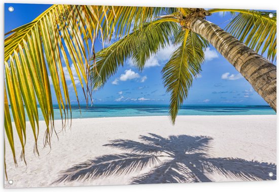 Tuinposter – Hangende Palmbladeren met Schaduw op Tropisch Wit Strand - 120x80 cm Foto op Tuinposter (wanddecoratie voor buiten en binnen)