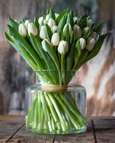 Bouquet de tulipes fraîches Cactula 2 pièces blanc 30 pièces directement du pays