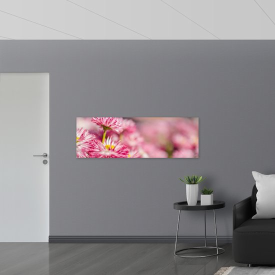 Acrylglas - Roze met Witte Bloempjes in het Bloemenveld - 150x50 cm Foto op Acrylglas (Wanddecoratie op Acrylaat)