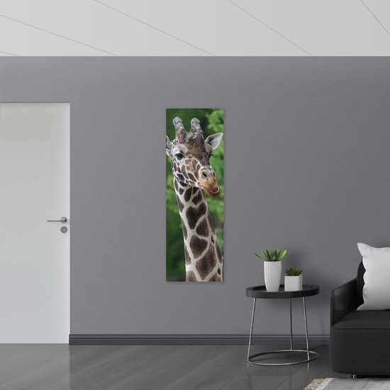 PVC Schuimplaat- Kop van Donkerkleurige Opzijkijkende Giraffe voor Groene Boomtoppen - 50x150 cm Foto op PVC Schuimplaat
