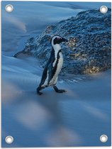Tuinposter – Pingïun lopend langs Rots op het Strand - 30x40 cm Foto op Tuinposter (wanddecoratie voor buiten en binnen)