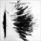 Kammerflimmer Kollektief - Teufelskamin (CD)