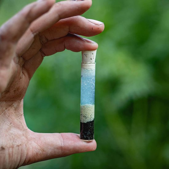 ECOstyle pH Bodemtest - Zuurtegraad meter voor Grond - Bepaal Kalk behoefte voor Tuin en Gazon - 8 Testen