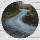 WallClassics - Muursticker Cercle - Route dans la forêt - 40x40 cm Photo sur Muursticker
