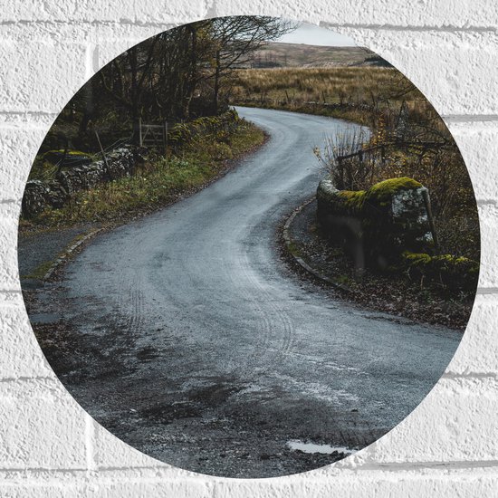 WallClassics - Muursticker Cercle - Route dans la forêt - 40x40 cm Photo sur Muursticker