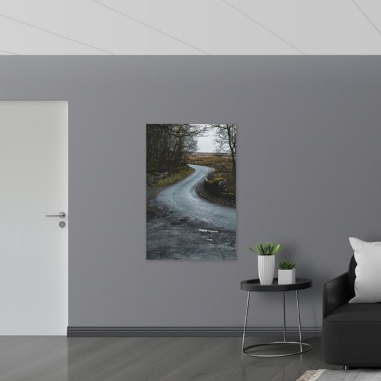 WallClassics - Verre acrylique - Route en forêt - Photo 80x120 cm sur verre acrylique (avec système de suspension)