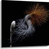 WallClassics - Canvas - Grijze Kroonkraanvogel op Zwarte Achtergrond - 100x100 cm Foto op Canvas Schilderij (Wanddecoratie op Canvas)