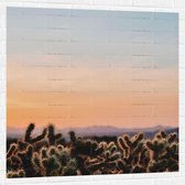 WallClassics - Muursticker - Cylindropuntia Fulgida Plantjes voor Berglandschap met Oranje Lucht - 100x100 cm Foto op Muursticker