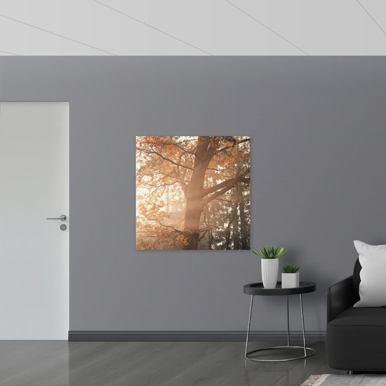 WallClassics - Muursticker - Soleil brillant à travers les Forêts - 100x100 cm Photo sur Muursticker