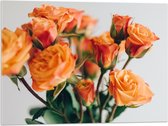 Acrylglas - Bos met Oranje Rozen - 80x60 cm Foto op Acrylglas (Wanddecoratie op Acrylaat)