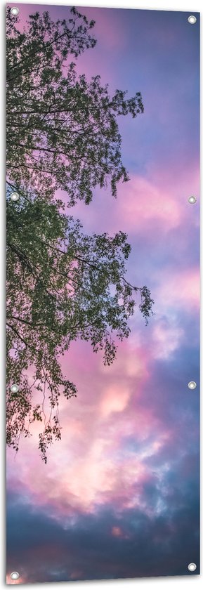 Tuinposter – Boom met Paars Blauwe Lucht - 50x150 cm Foto op Tuinposter (wanddecoratie voor buiten en binnen)