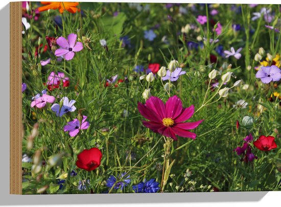 Hout - Bloemenveld met Kleurrijke Bloemen - 40x30 cm - 9 mm dik - Foto op Hout (Met Ophangsysteem)