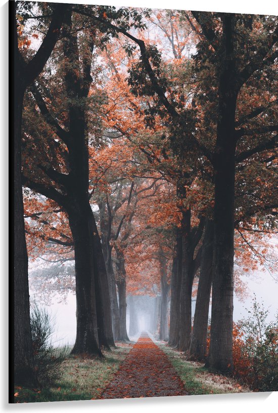 Canvas - Bomen met Herfstbladeren - 100x150 cm Foto op Canvas Schilderij (Wanddecoratie op Canvas)