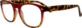 Noci Eyewear QCR002 Luciano Leesbril +2.50 - Helder rood, Tortoise