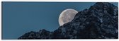 WallClassics - Dibond - Heldere Maan achter Rots - 60x20 cm Foto op Aluminium (Met Ophangsysteem)