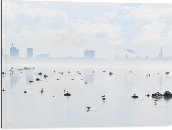 WallClassics - Dibond - Mist bij Skyline achter Meer met Vogels - 80x60 cm Foto op Aluminium (Met Ophangsysteem)